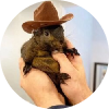 Peanut the Squirrel